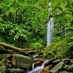 Brasso Seco Waterfall Hike