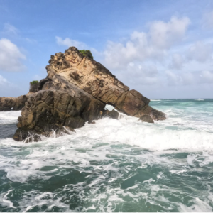 La Forêt Beach, Toco