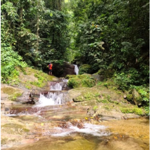 Maracas Waterfall Hike