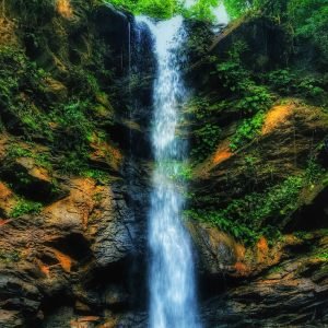Avocat Waterfall Hike