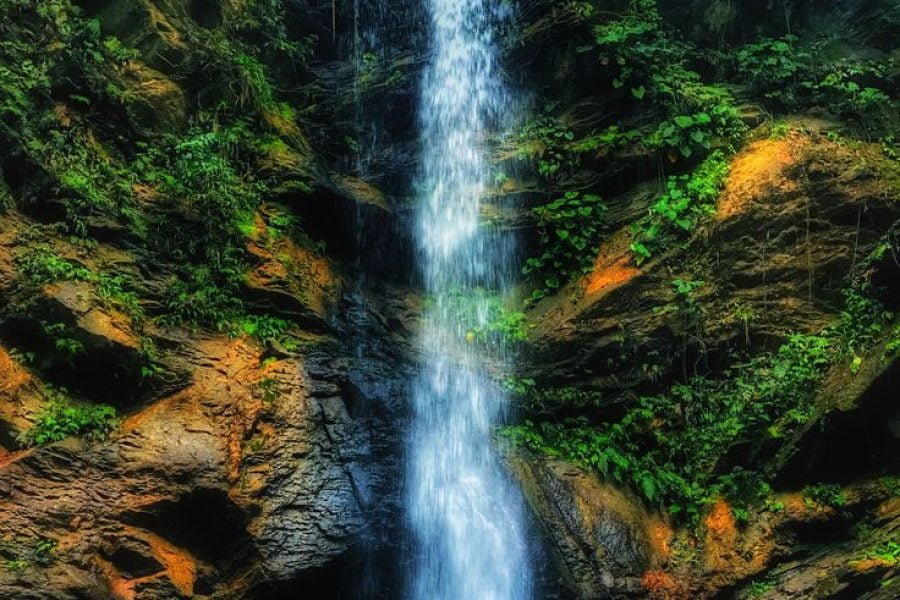 Avocat Waterfall Hike