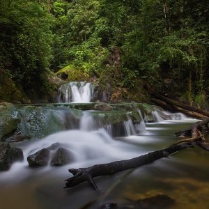 Aripo Waterfall Hike