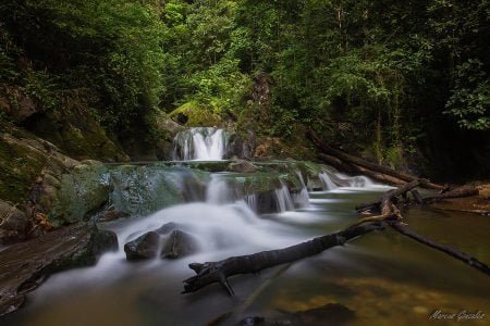 Aripo Waterfall Hike
