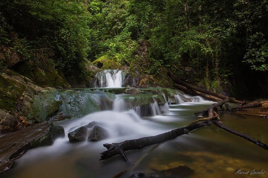 Aripo Waterfall Hike