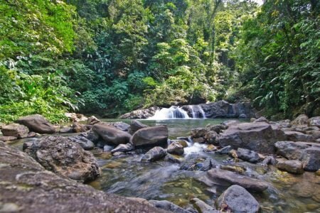 Matelot Waterfall Hike