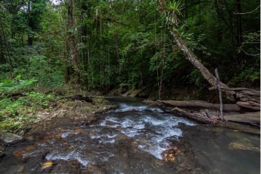 North Oropouche Tour