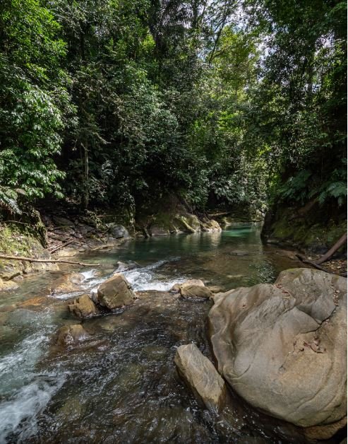 North Oropouche Tour | Book Trinbago