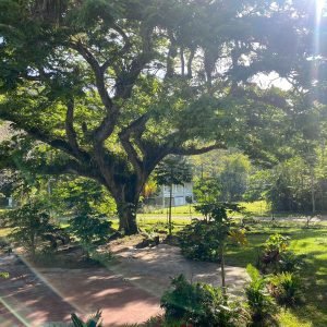 Book Trinbago The Valley Escape