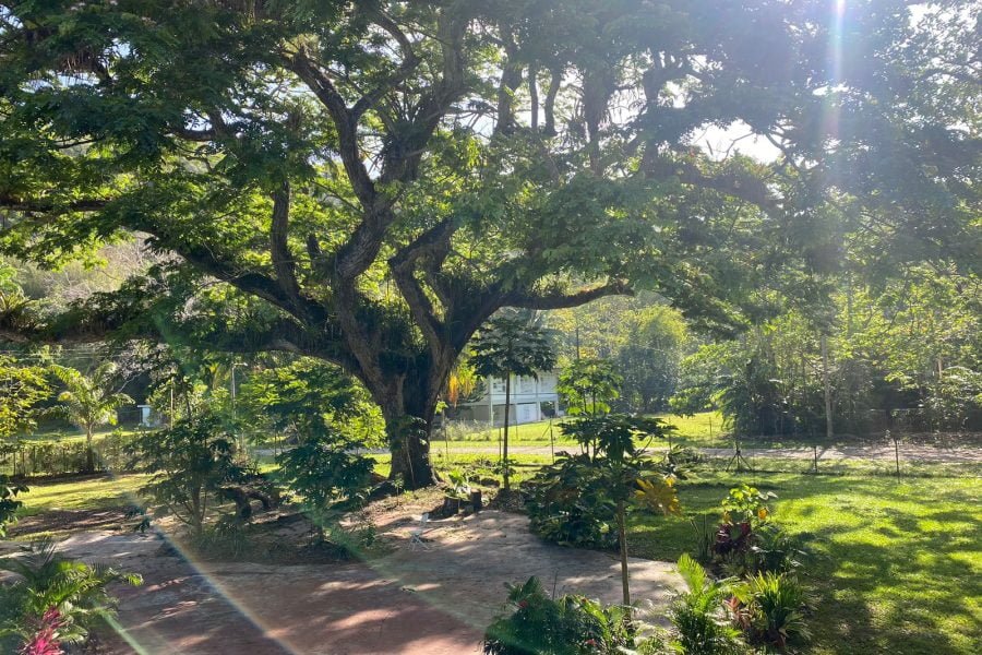 Book Trinbago The Valley Escape