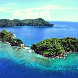 Book Trinbago Little Tobago Tour